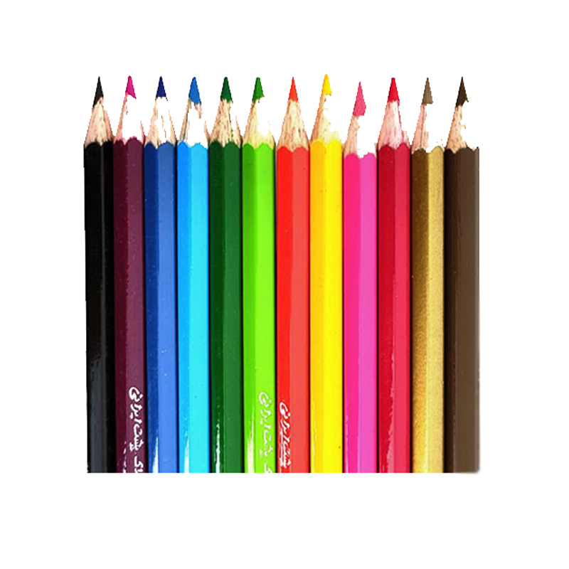 مداد رنگی لاک پشت