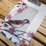 تخته شاسی A4 سلفونی